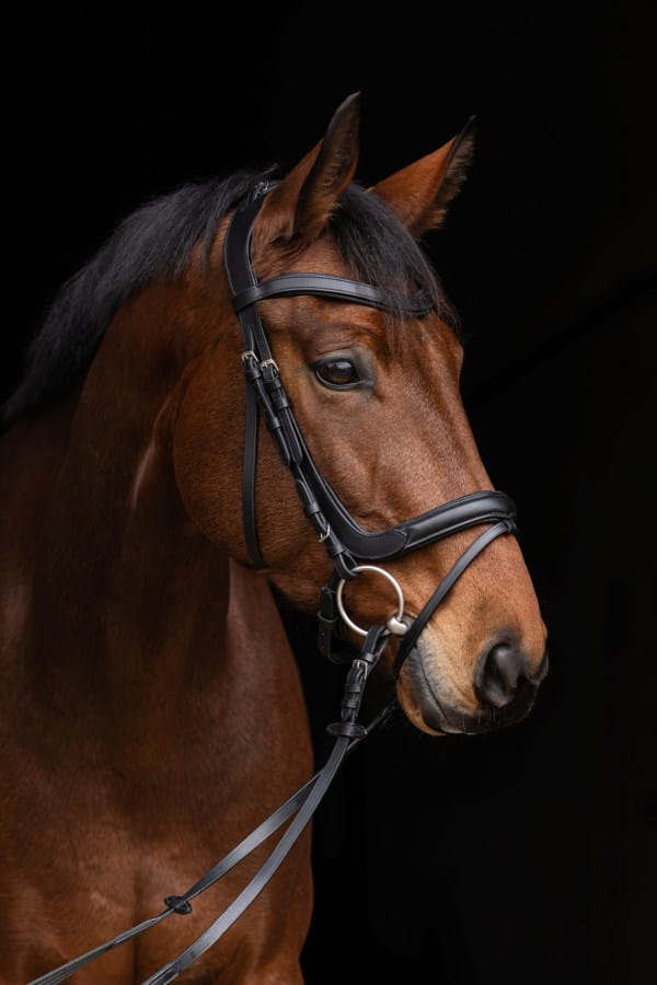 Kerbl Trensenzaum Anatomic - pferdefreundliche Passform