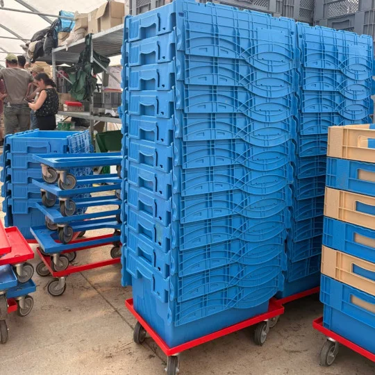 Kartonkarren, Transportwagen, Rollwagen, Wagen, Blaue Kunststoffbehälter