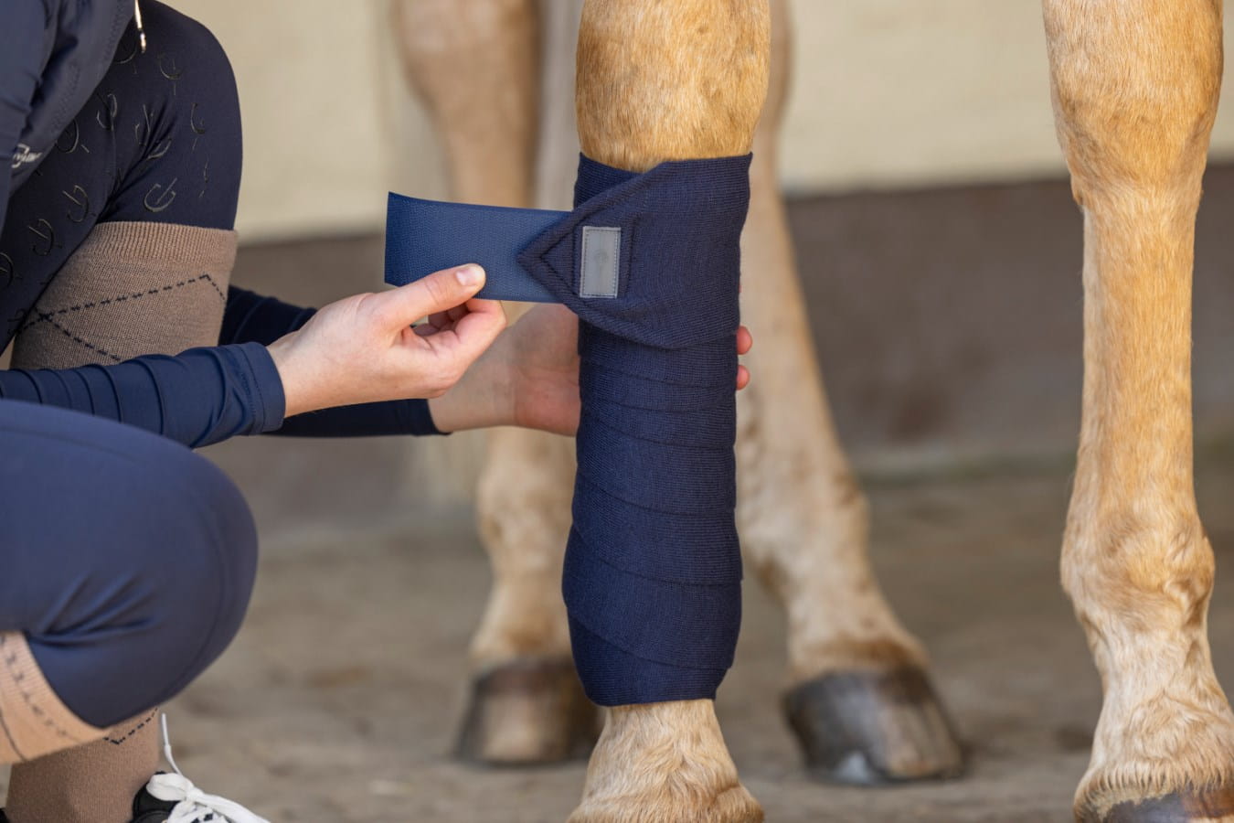 4x Kerbl transport and stable bandages - in various colors