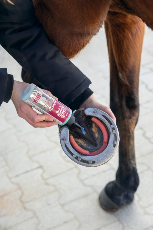 MagicBrush Hufgel Pro - Schutz vor übermäßiger Feuchtigkeit | Inhalt: 200 ml