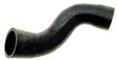BL10578 Kühlerschlauch unten