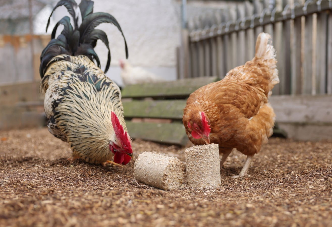 24x Dinkelspelzenbriketts