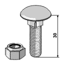 BL3035 Flachrundschraube/Mutter 51-1029 30 mm M10x1,5