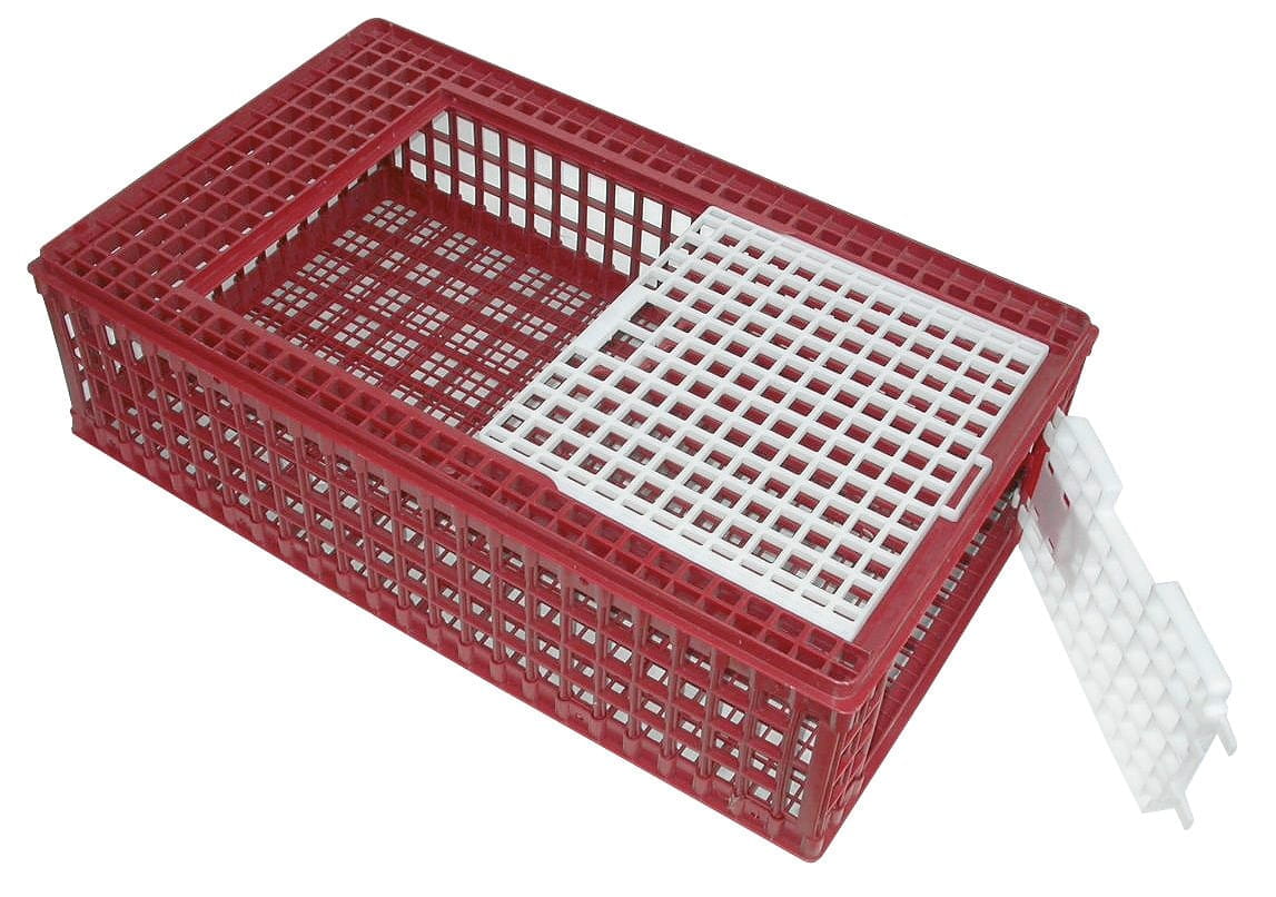 Geflügel Transportbox rot / weiß - 95 x 57 x 27,5cm