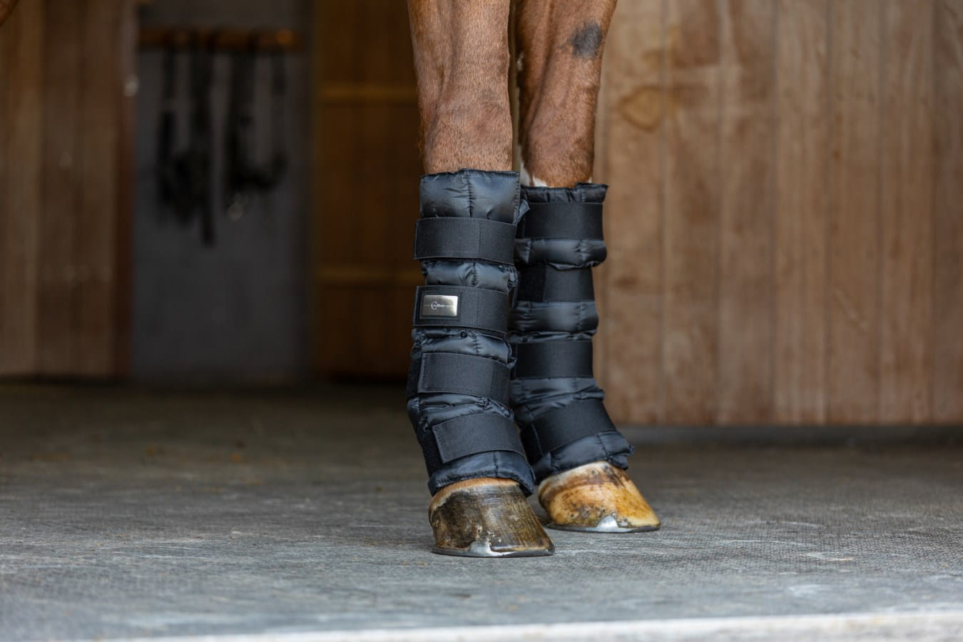 BLK3226435 Pferd Kühlgamaschen