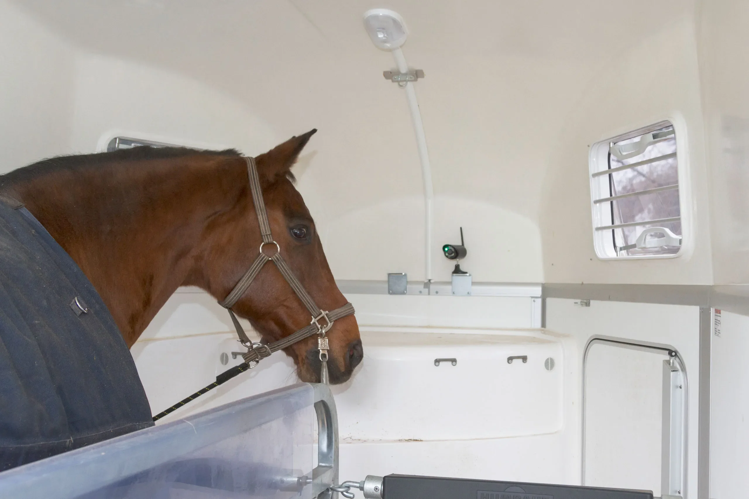 SmartCam Akku HD Stallkamera – mobile Tierüberwachung ohne WLAN mit Magnethalter