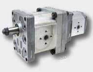 BL21425 Doppelpumpe - passend zu Massey Ferguson 3302501M92