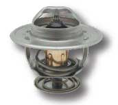 BL15402166 Thermostat - passend zu Case