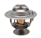 BL11006 Thermostat - passend zu CASE 218039A1