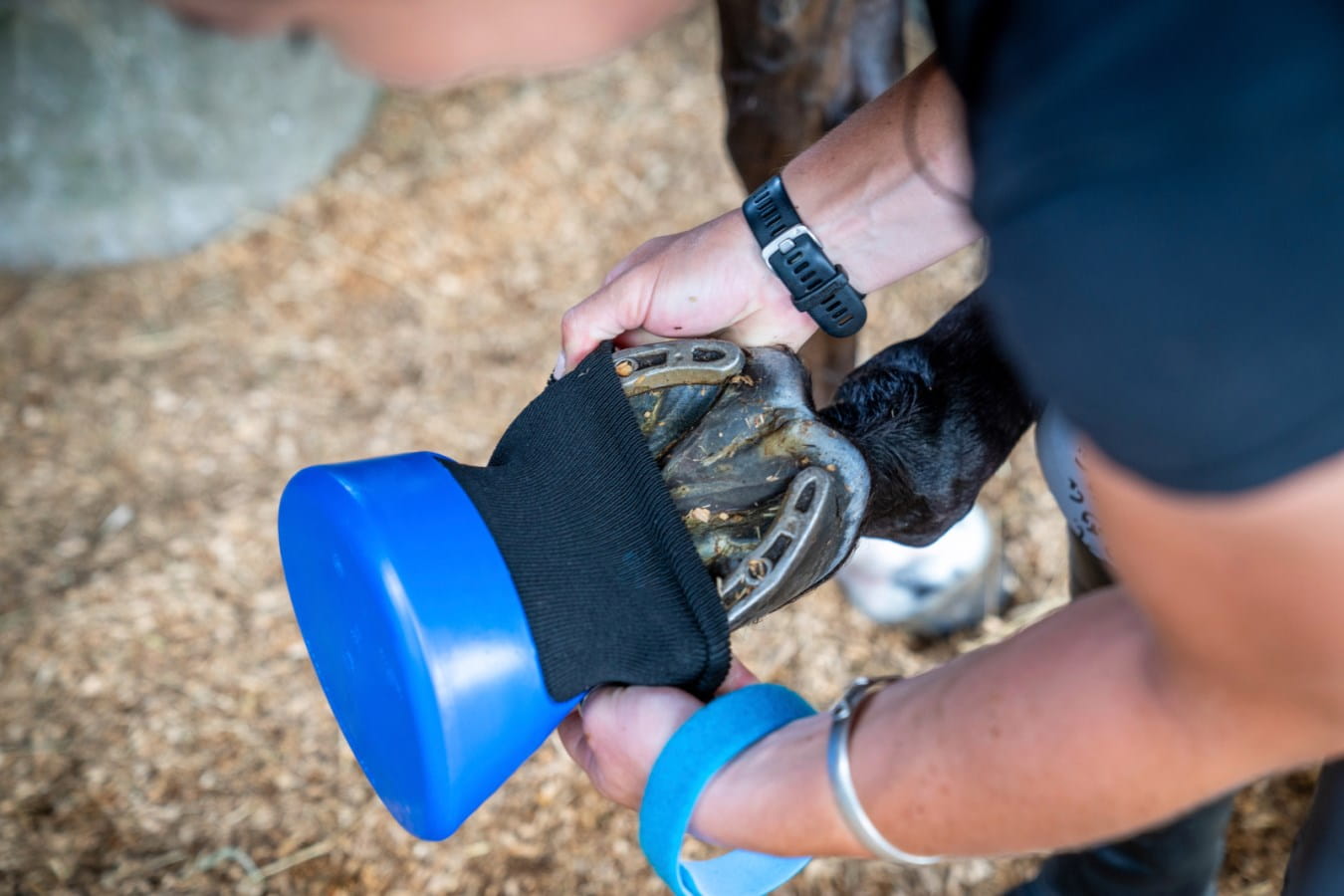 Hoof boot Tubbease™