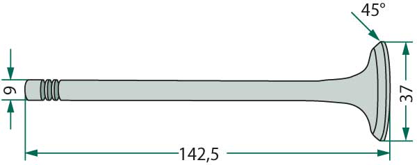 Auslassventil Auslassventil