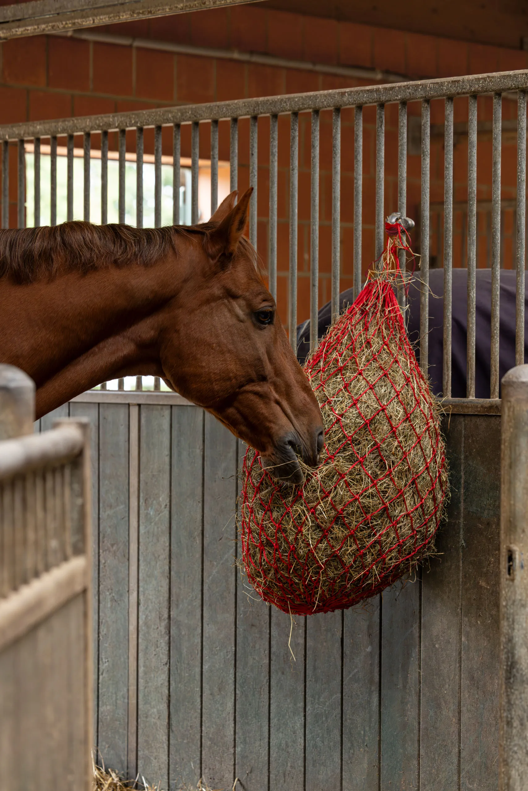 Heunetz 5x5 cm – robustes Heunetz für Pferde, Slow Feeding & weniger Futterverlust | Farbe: blau