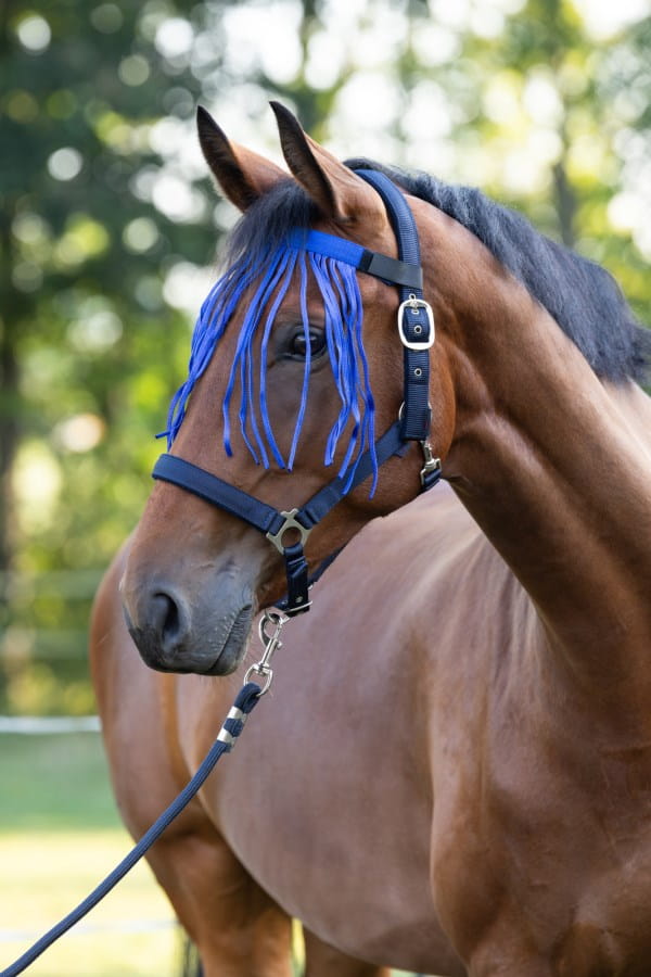 Fliegen-Fransenband - Schutz vor Bremsen & Fliegen