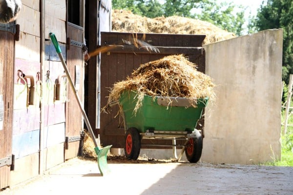 LA-BUVETTE-Kippschubkarre-330-l-600-l-LB-D186_600x600