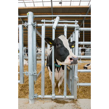 Patura feeding grid for animal treatment