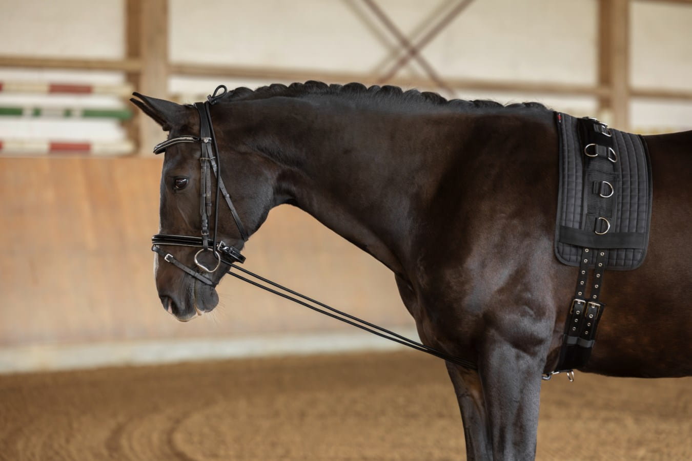 Kerbl Neck Extender | for neck and throat problems