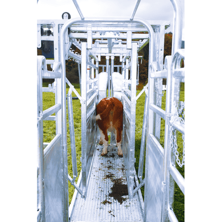 Patura Behandlungsstand A8000