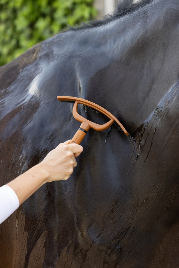 Covalliero Schweißwischer Deluxe - Kunstledergriff