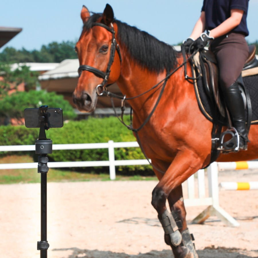 Video Pferdetracker Pivo Standard Pack