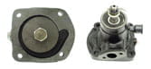 Fendt Dieselross F12 Wasserpumpe Motor MWM KD 12 E Fendt Dieselross F12 Wasserpumpe Motor MWM KD 12 E