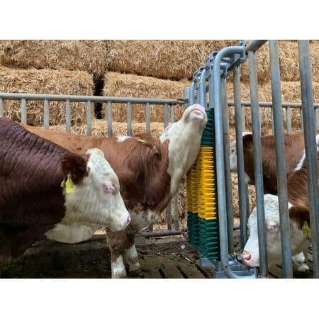 Patura spring-loaded brush with protective frame - for bulls