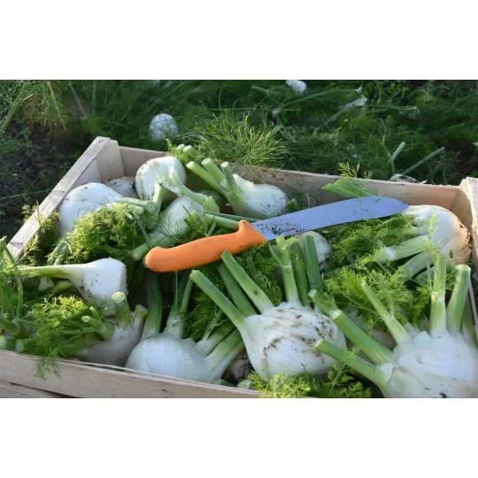 couteau-de-recolte-21cm-1_1920x1920