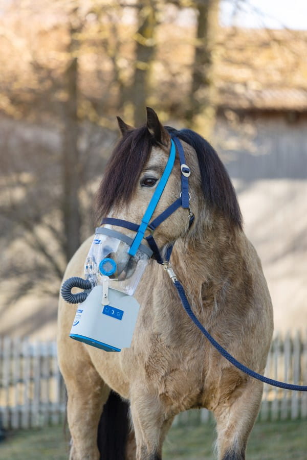 HippoMed AirOne Flex Inhalation Mask | incl. accessories - for horses