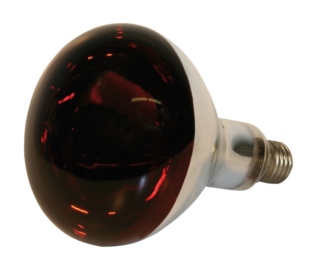 Infrared tempered glass lamp E27 - red / 150W