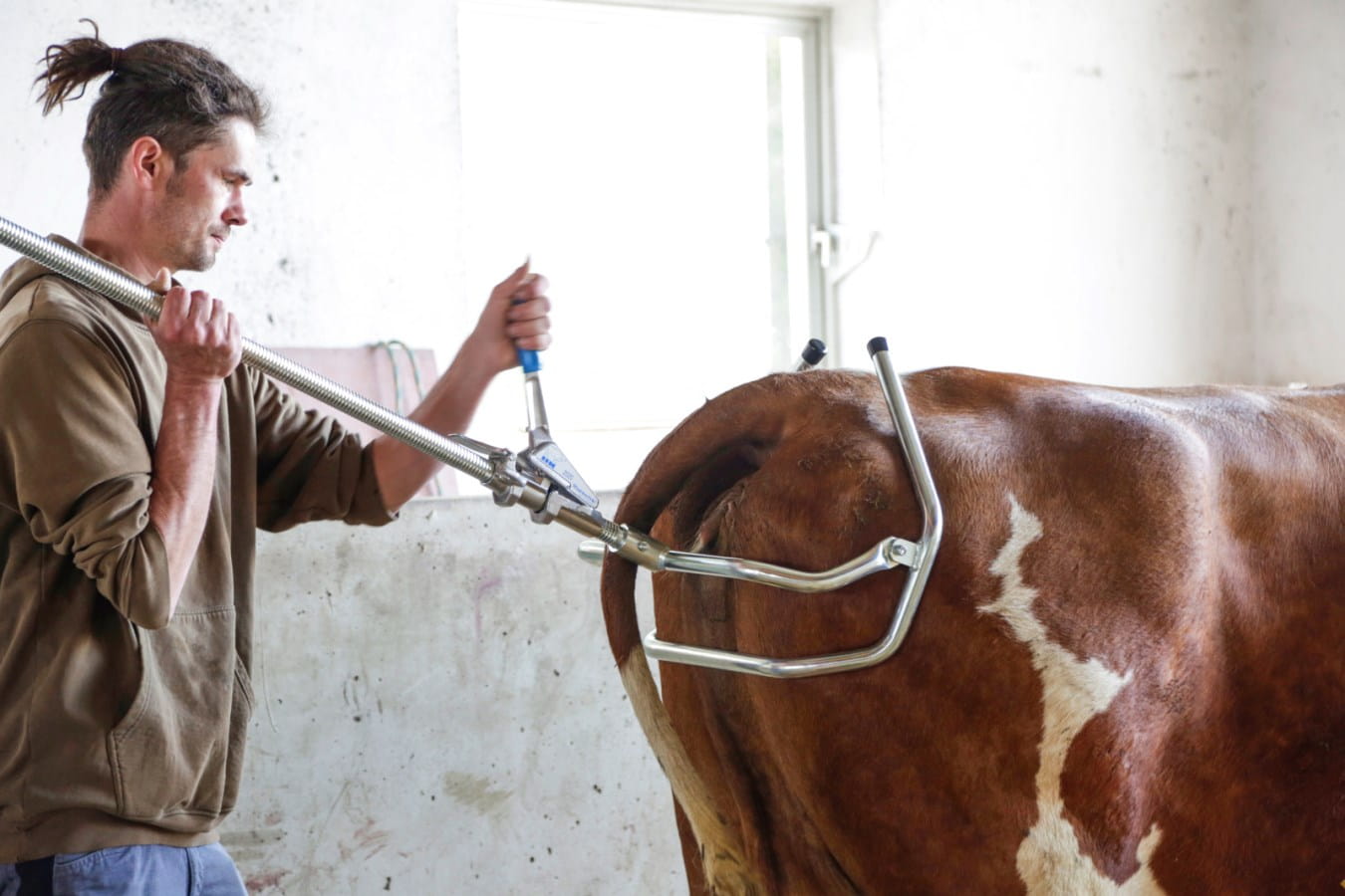 HK Flexibügel für Milchrassen - Beckenbreite 52cm