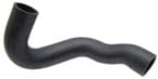 BL21810 Kühlerschlauch unten