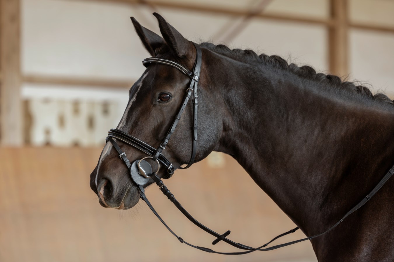 Kerbl Bit Discs - 2 Pieces | Mouth Corner Protector