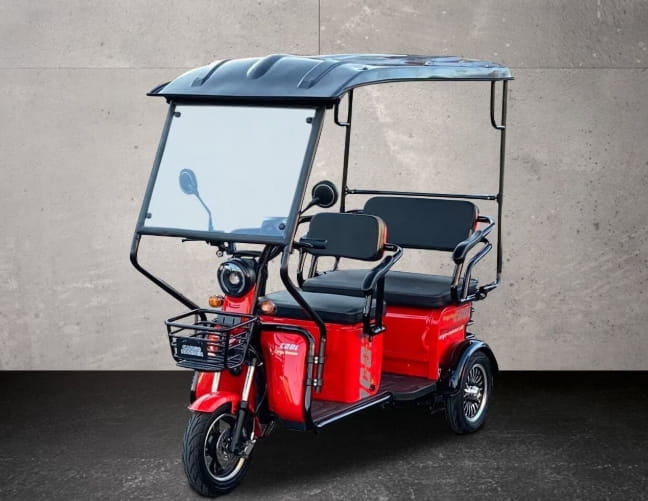 Cargo Runner PASSENGER mit Dach – 25 km/h Elektrofahrzeug für 2 Personen | Mofa-Prüfbescheinigung