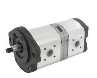Double pump - suitable for Renault R - 6005030944