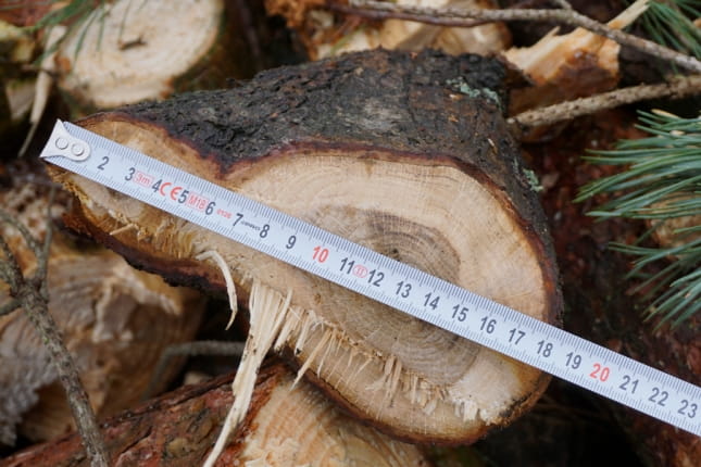 Remet CNC wood chipper RP200 SUPER with PTO shaft & 4m conveyor belt | Professional wood chipper 170 mm