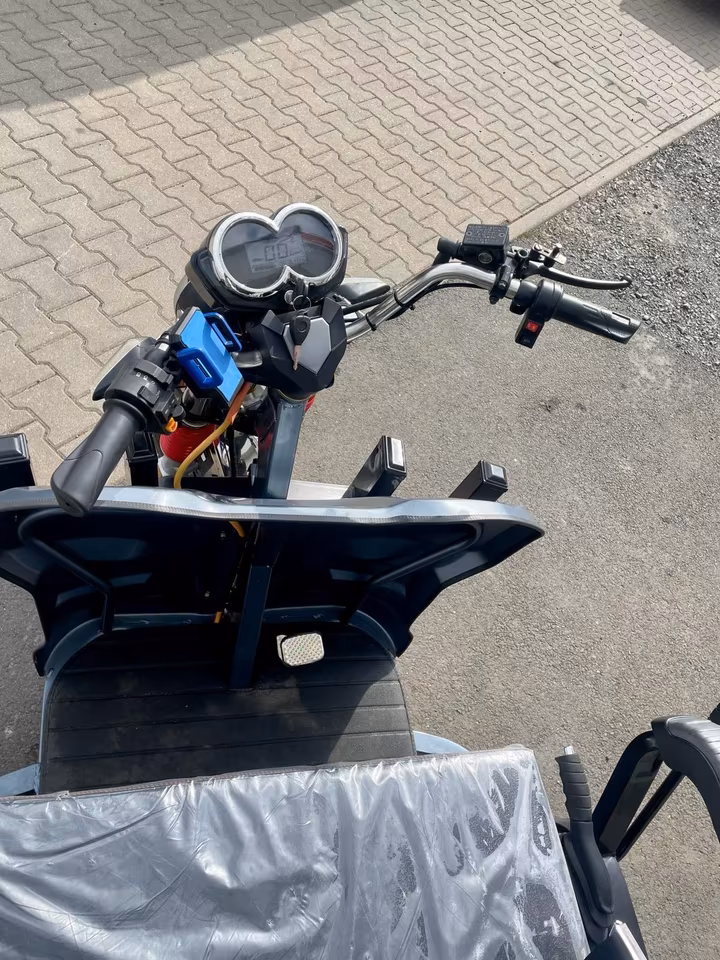 Cargo Runner BIG – Transporteur électrique 2200 W avec batterie 80 Ah | 42 km/h | Plateau géant