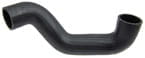 BL21822 Kühlerschlauch unten