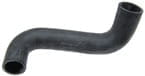 BL21877 Kühlerschlauch unten