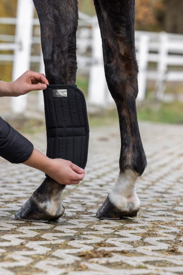 2x Kerbl CovallieroTherm bandage pads - heat-retaining - for hind legs