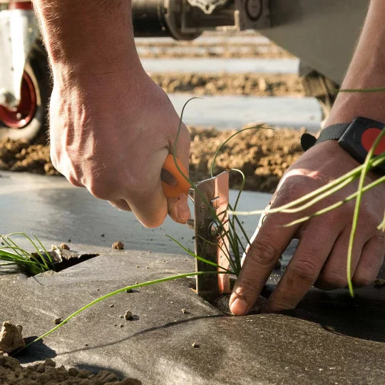 Handpflanzer NIFTY PLANT 40 mm – Ergonomischer Profi-Pflanzer für präzises Umpflanzen