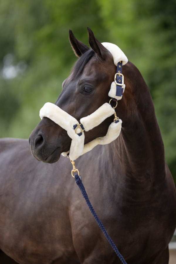 Kerbl Halfter SuperSoft