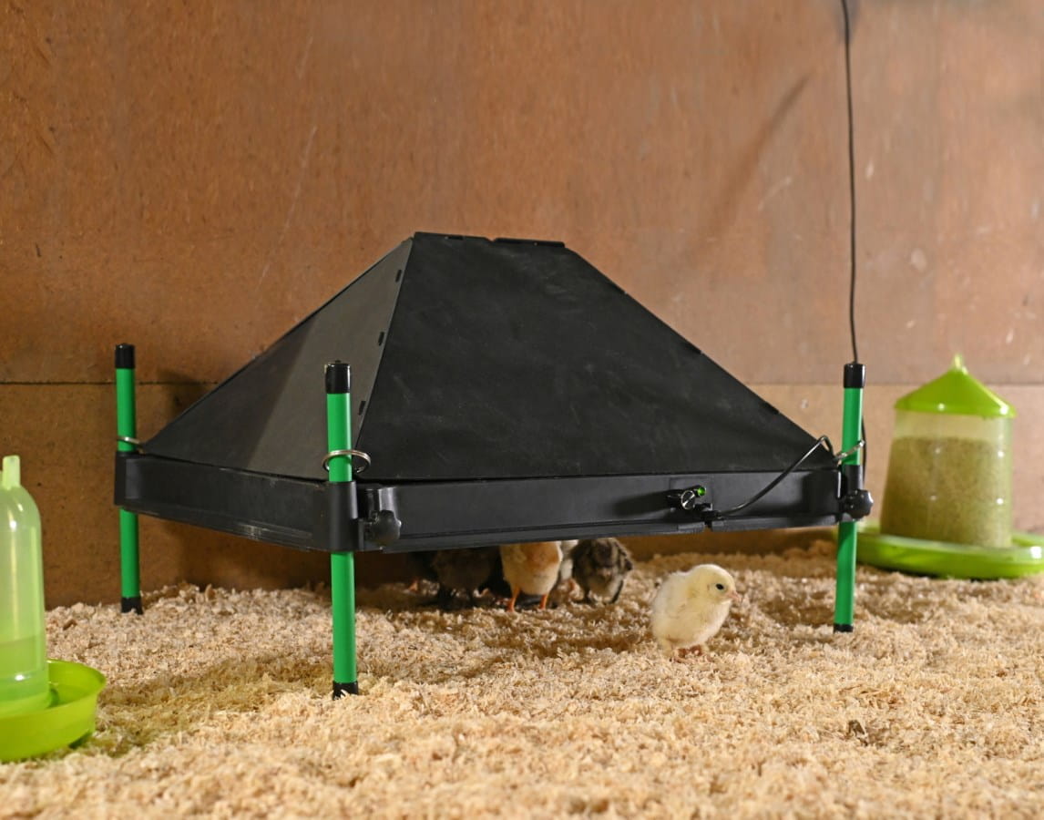 Kerbl Schutzabdeckung für Wärmeplatte CosyHeat - 30cm x 30cm