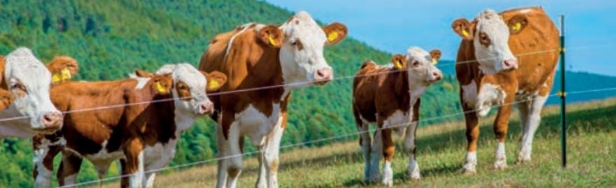 unbenanntjp8zqyndku0ei_(1)