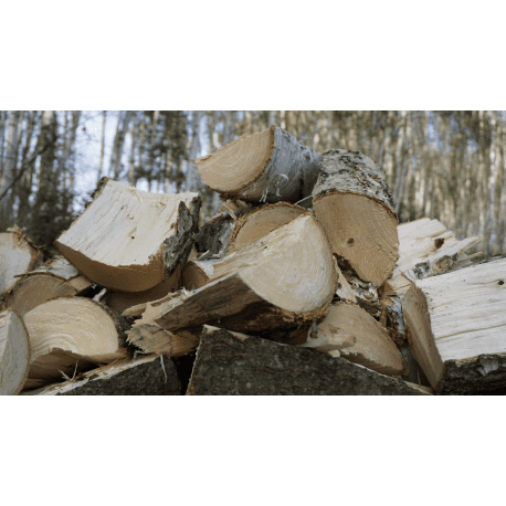 Remet CNC Holzhacker Woodpecker RP300 – Schneidespalter mit PTO-Antrieb & Förderband 3M