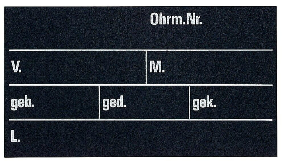 csm_70482_76f036ea10_1920x1920