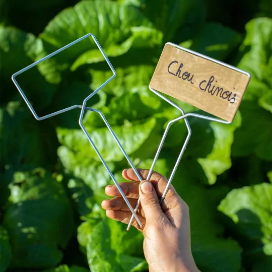 10x Flortill Tape&Tag T245 Rechteck-Etikettenhalter 6x10 cm – Pflanzenschilder mit Drahtspitzen für Gartenbau, Baumschulen & Pflanzenkennzeichnung