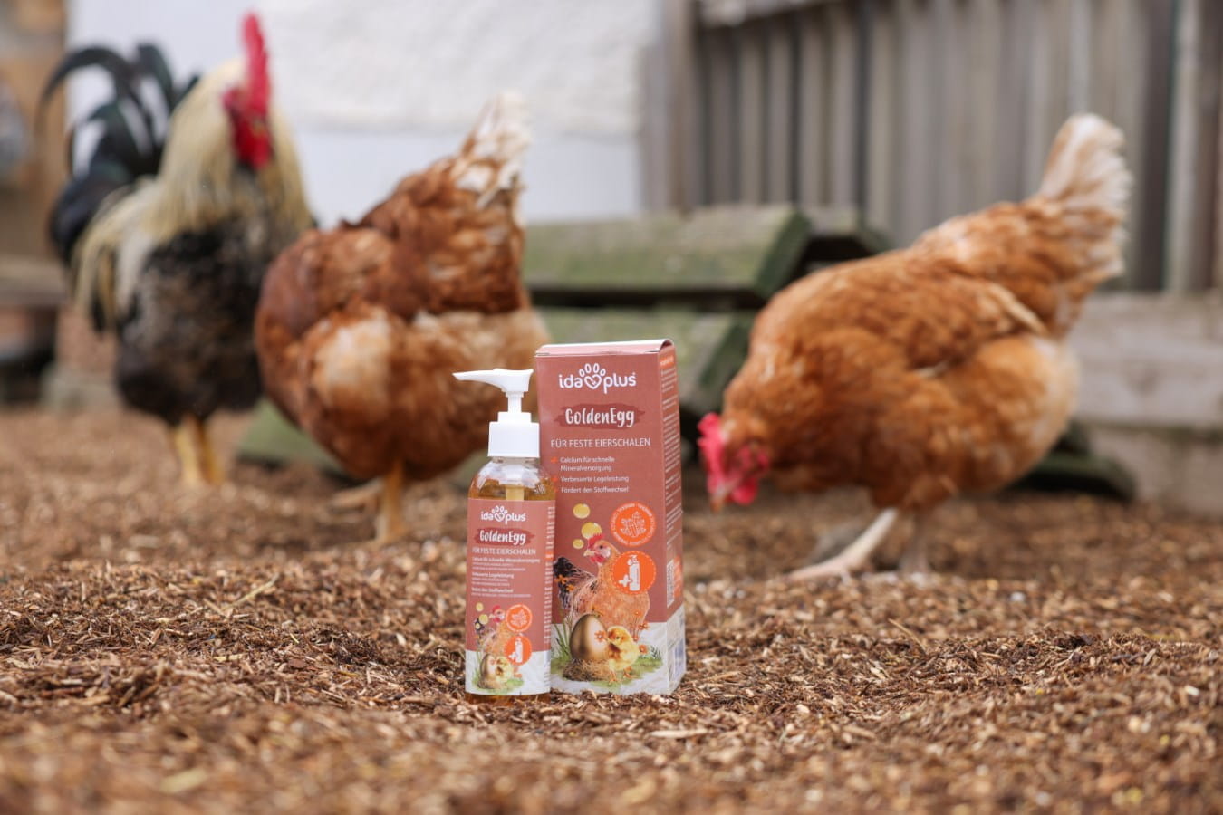 Ergänzungsfuttermittel IdaPlus® GoldenEgg - 200ml