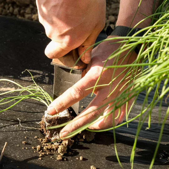 Pflanzschaufel Hori Hori mit Holzgriff & Lederhülle – Profi-Gartenmesser aus Kohlenstoffstahl
