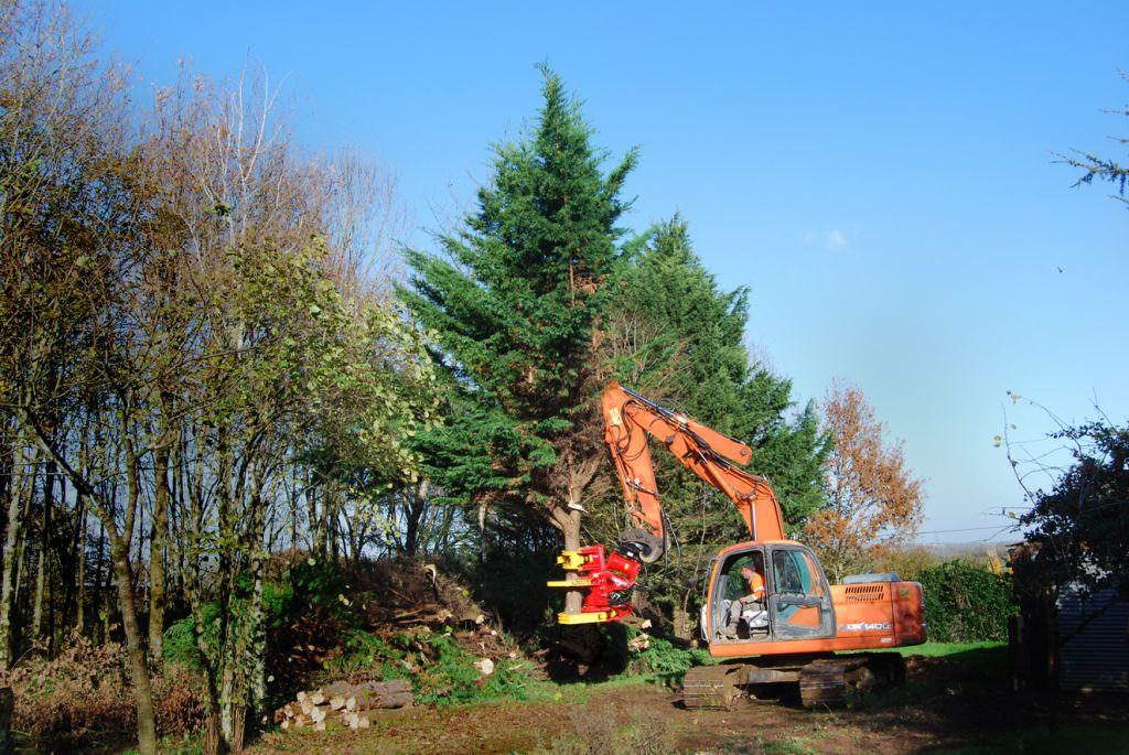 Rabaud excavator felling grapple / tree cutter - XYLOCUT PE