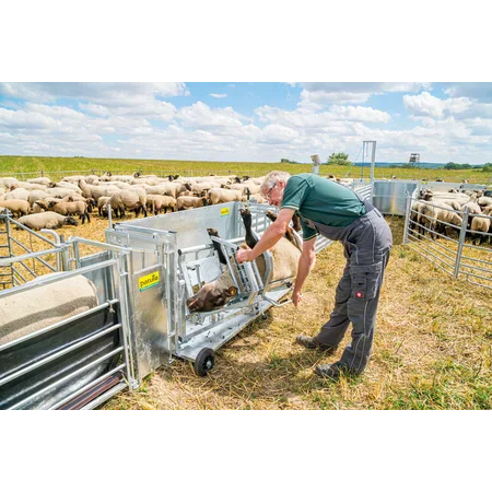 Patura Behandlungsstand - Typ L