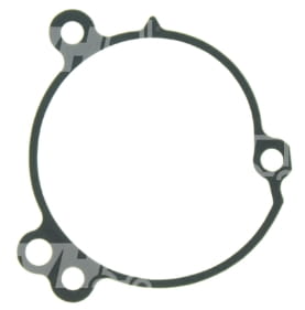 Weidemann Dichtung Wasserpumpe